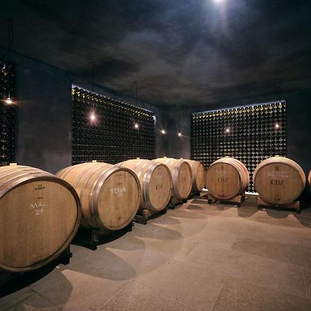 Winery Cuj Bed & Breakfast Vilanija エクステリア 写真
