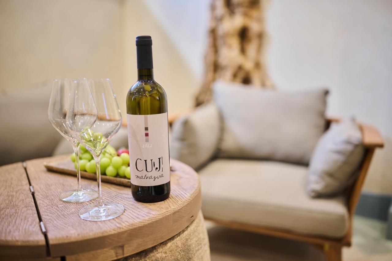 Winery Cuj Bed & Breakfast Vilanija エクステリア 写真