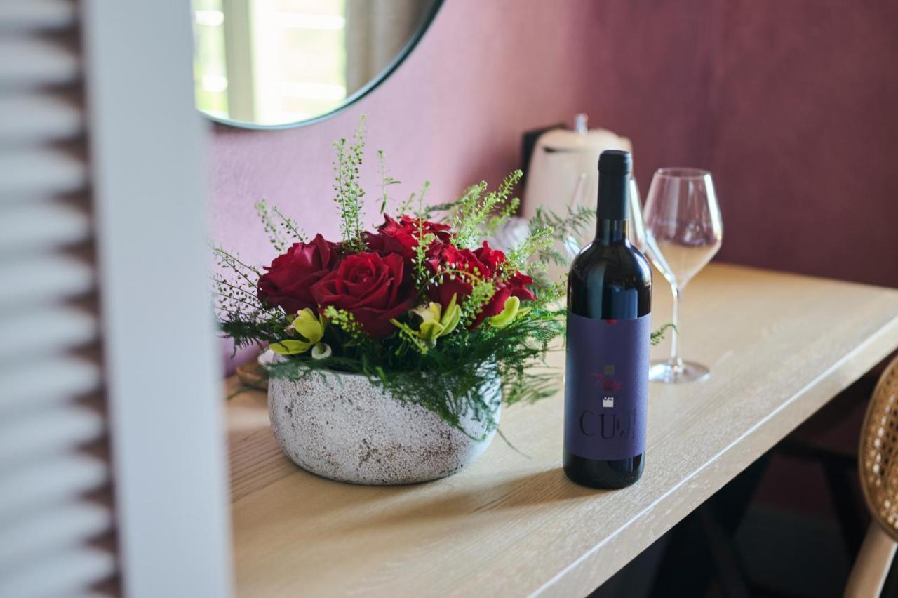 Winery Cuj Bed & Breakfast Vilanija エクステリア 写真