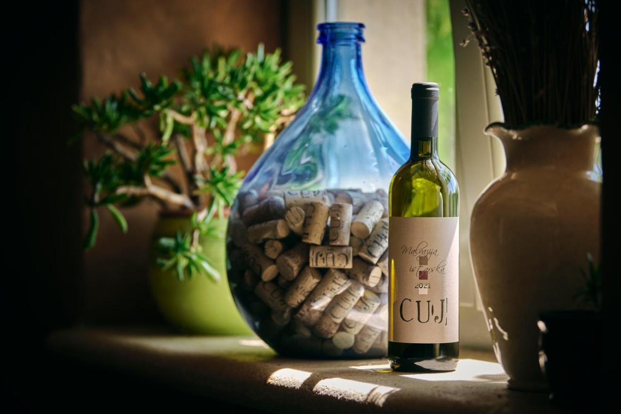 Winery Cuj Bed & Breakfast Vilanija エクステリア 写真