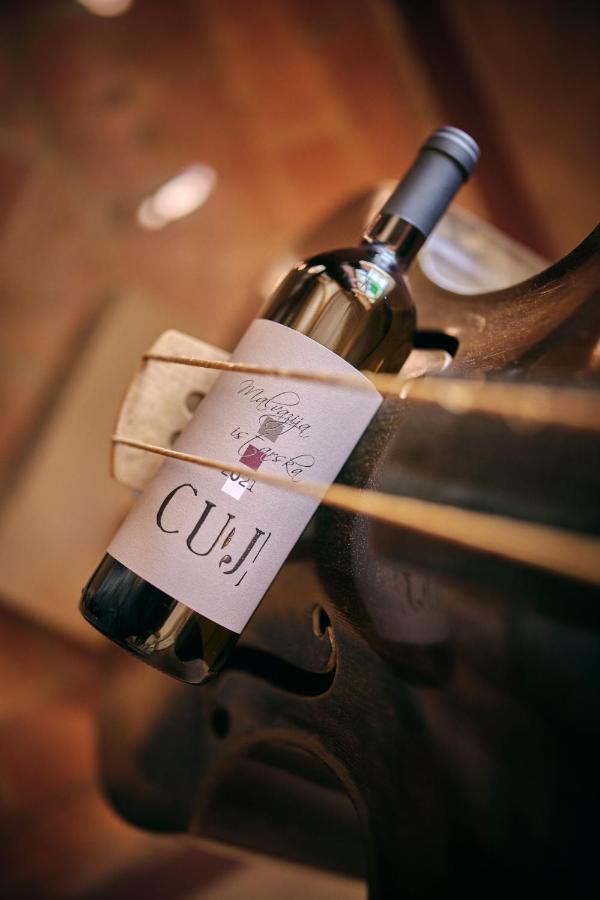 Winery Cuj Bed & Breakfast Vilanija エクステリア 写真