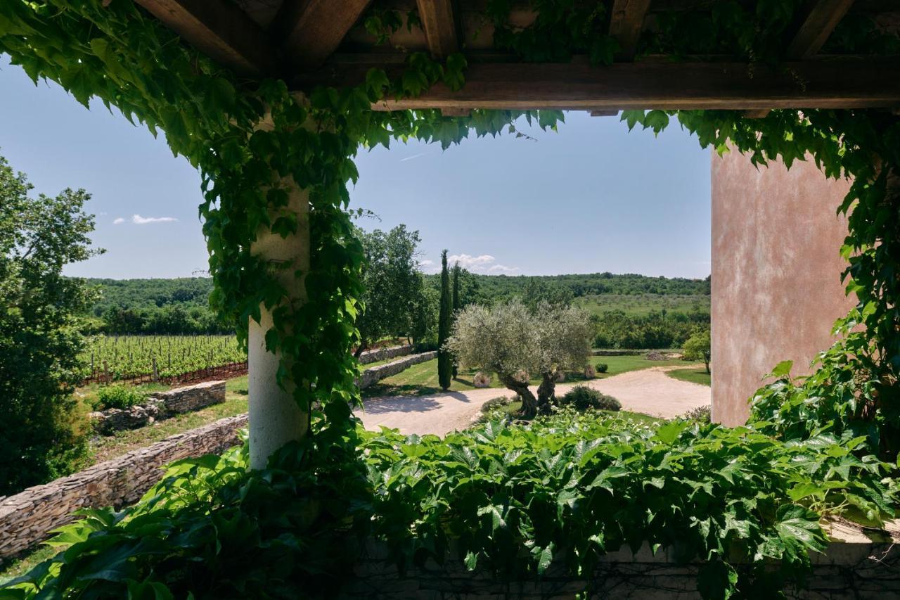 Winery Cuj Bed & Breakfast Vilanija エクステリア 写真